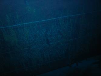 Ship's side in vicinity of well deck